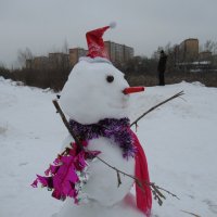 Местный Снеговик :: Андрей Макурин