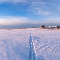 Лыжня и поле в утреннем свете :: Алексей Сметкин