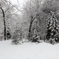 На полянке... :: Любовь С.