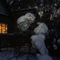 Окно в заснеженный сад :: san05 -  Александр Савицкий