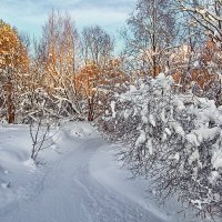 Зимние берега :: Юрий Митенёв
