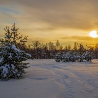 Морозное декабрьское утро 04 :: Андрей Дворников