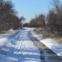 Теплом,пахнуло... :: Георгиевич 