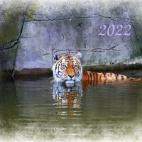 C наступающим годом водяного тигра, дорогие друзья! :: Nina Yudicheva