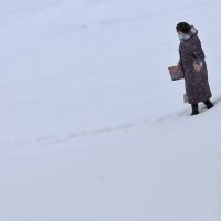 Снег выпал! :: Юрий Гайворонский