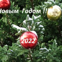 С Новым Годом ! :: Андрей K.