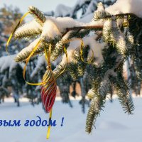 Урааа, к нам пришел Новый год! :: Виктор Иванович Чернюк