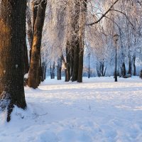 Репортаж из зимнего городского парка. :: Милешкин Владимир Алексеевич 