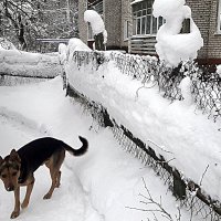 бесхозный... :: Любовь 