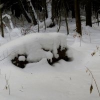 "Динозавр" в Московском парке. :: Елен@Ёлочка К.Е.Т.