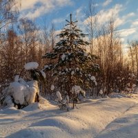 Морозное утро второго января # 02 :: Андрей Дворников