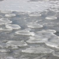 Ледяные оладьи . :: tamara 