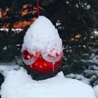 Снежок приукрасил! :: Надежда 