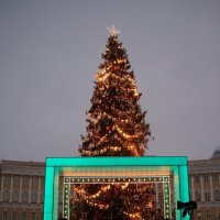Новогодняя Дворцовая :: Наталья Герасимова