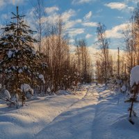 Морозное утро второго января # 02. В :: Андрей Дворников