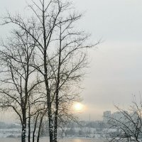 Зимний вечер в городе :: Наталья Тимофеева