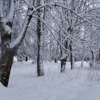 Городской парк после снегопада. :: Милешкин Владимир Алексеевич 