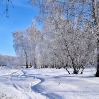 Тропинками зимними... :: Mikhail Irtyshskiy