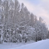 Придорожный пейзаж. :: Александр Зуев