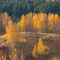 Палитра октября... :: Владимир Жданов