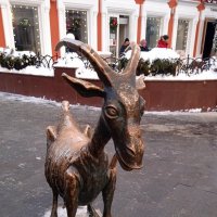 коза :: ольга хакимова