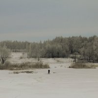 У Зимы характер мягкий :: Елена Минина