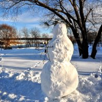 Рождественский снеговик ! :) :: Анатолий Колосов