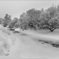 Река Серая. :: Эдуард Кокозов