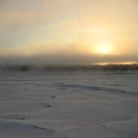 Морозное утро :: Anna Ivanova