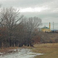 соборная мечеть :: Гонорий Голопупенко