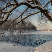 Зима на Белом озере. :: Elena Ророva