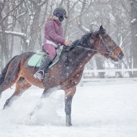 Метель :: Елена Логачева