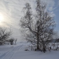 Зимнее  солнце... :: Андрей Хлопонин
