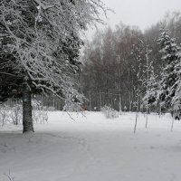 После снегопада, репортаж из зимнего парка. :: Милешкин Владимир Алексеевич 