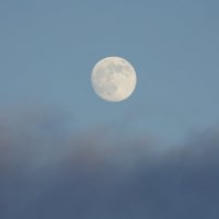Moon tonight :: Иван Литвинов
