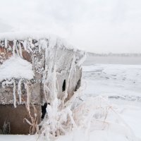 Замерзший берег :: Вадим Басов