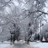 Снежной зимой в городе :: Елена Семигина