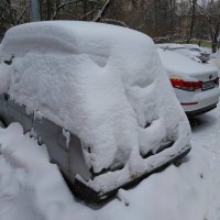 Что мы ждем от зимы? :-) :: Андрей Лукьянов