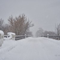 Снегопад :: Вера Сафонова