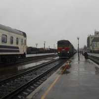 Прибытие поезда... :: Галина Квасникова