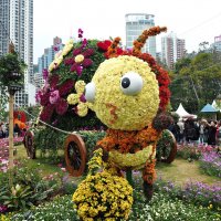 Гонконг "Парк Виктория" - цветочное шоу :: wea *