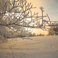 Причуды зимы 3 :: Сергей Жуков