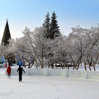 Яблони в зимнем цвету :: Татьяна Лютаева