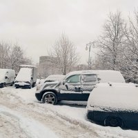 Возле дома моего. :: Владимир Драгунский