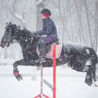 прыжки в снегопад. :: Елена Логачева