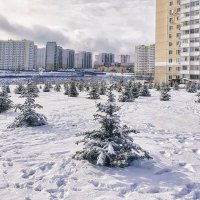 Ростовские зарисовки :: Александр Гапоненко