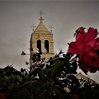 Кресты и розы :: vadimka 
