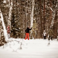 Все на лыжню! :: Сергей Царёв