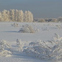 Белая зима :: Татьяна Лютаева