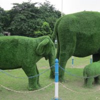 Зеленые слоны :: Игорь Матвеев 